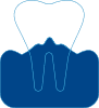 Parodontologie - Ulrike Schur